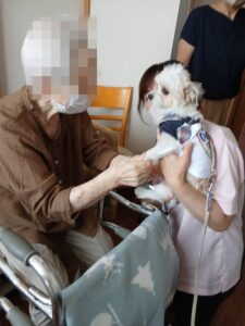 AnimalTherapy2