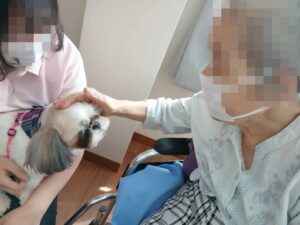 AnimalTherapy1